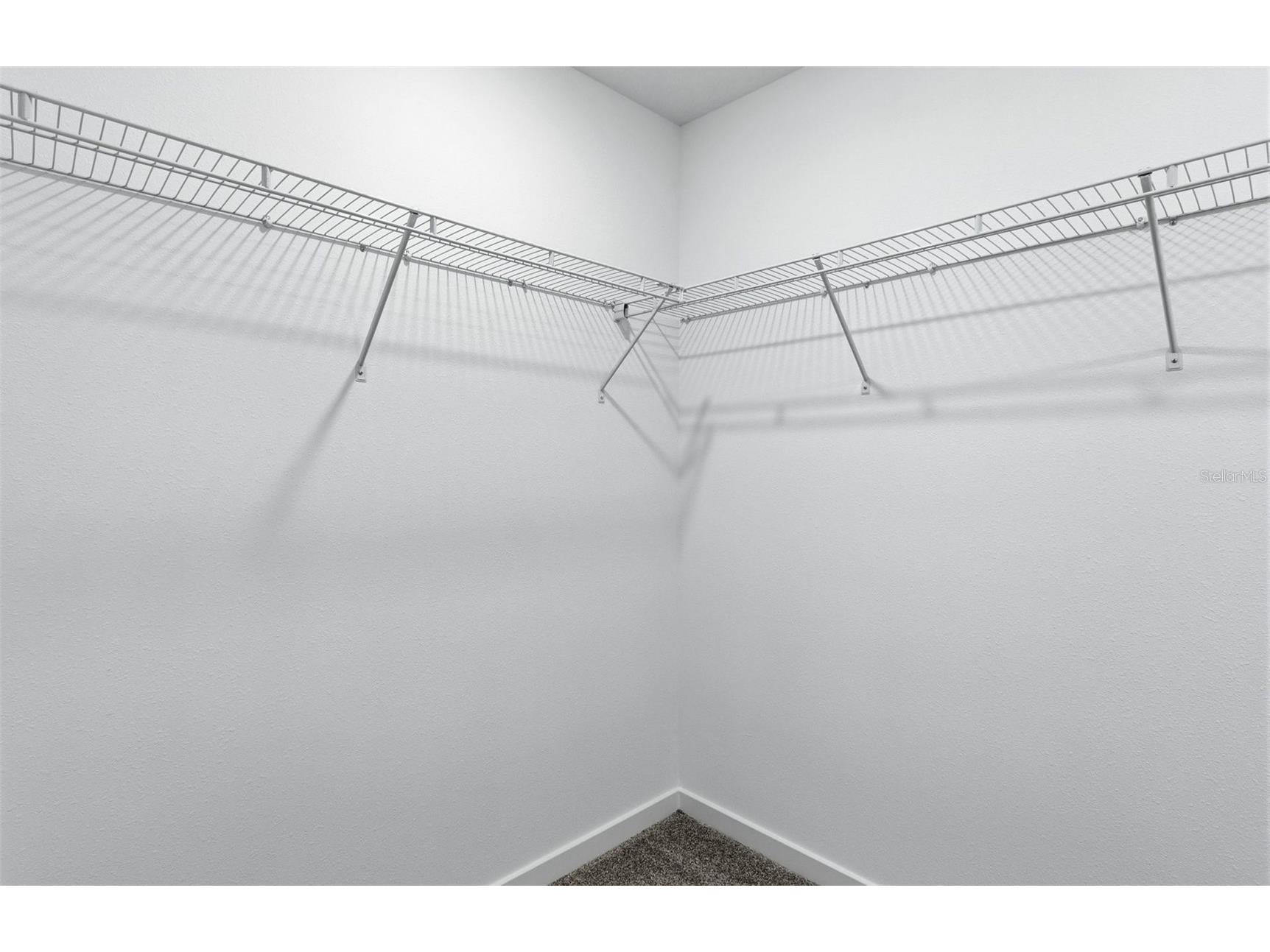 36877 Rio Grande Drive Zephyrhills FL 33540 TB8448951 image11