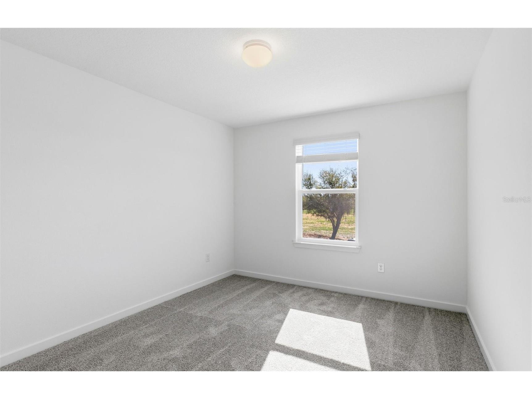 36877 Rio Grande Drive Zephyrhills FL 33540 TB8448951 image12