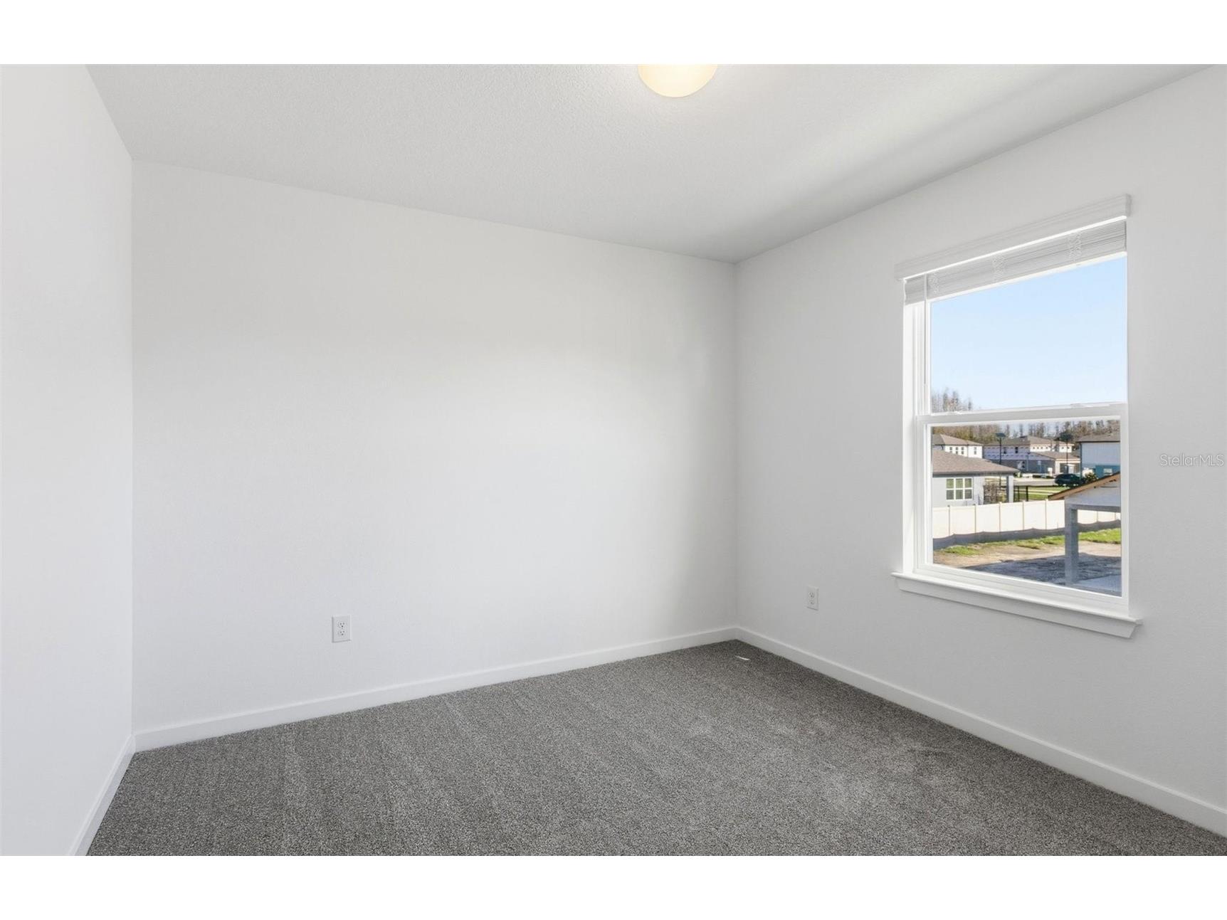 36877 Rio Grande Drive Zephyrhills FL 33540 TB8448951 image14