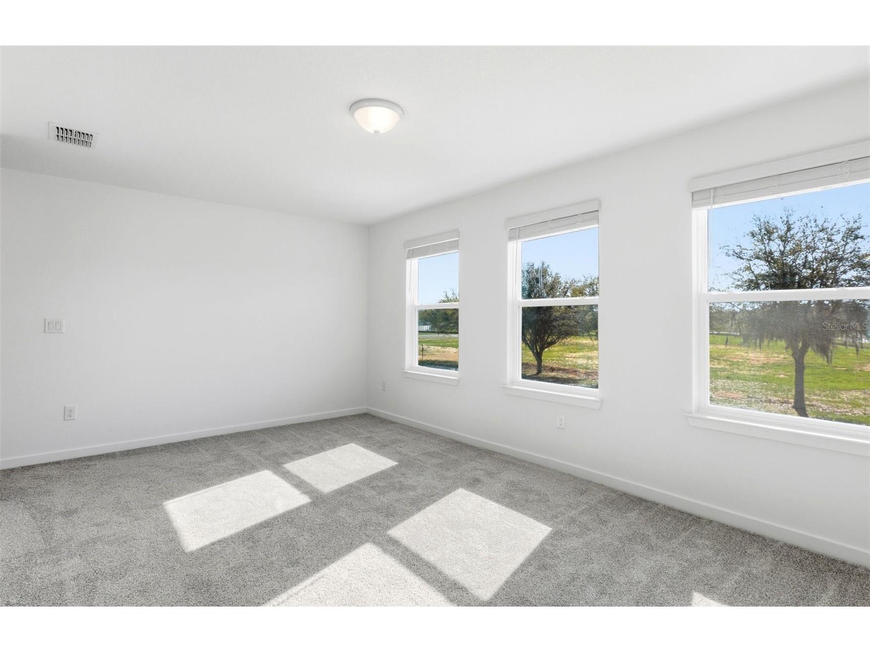 36877 Rio Grande Drive Zephyrhills FL 33540 TB8448951 image8