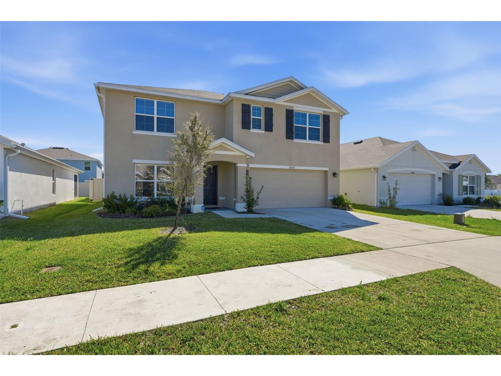 36882 Goffaux Loop Zephyrhills FL 33541 TB8494227 image1