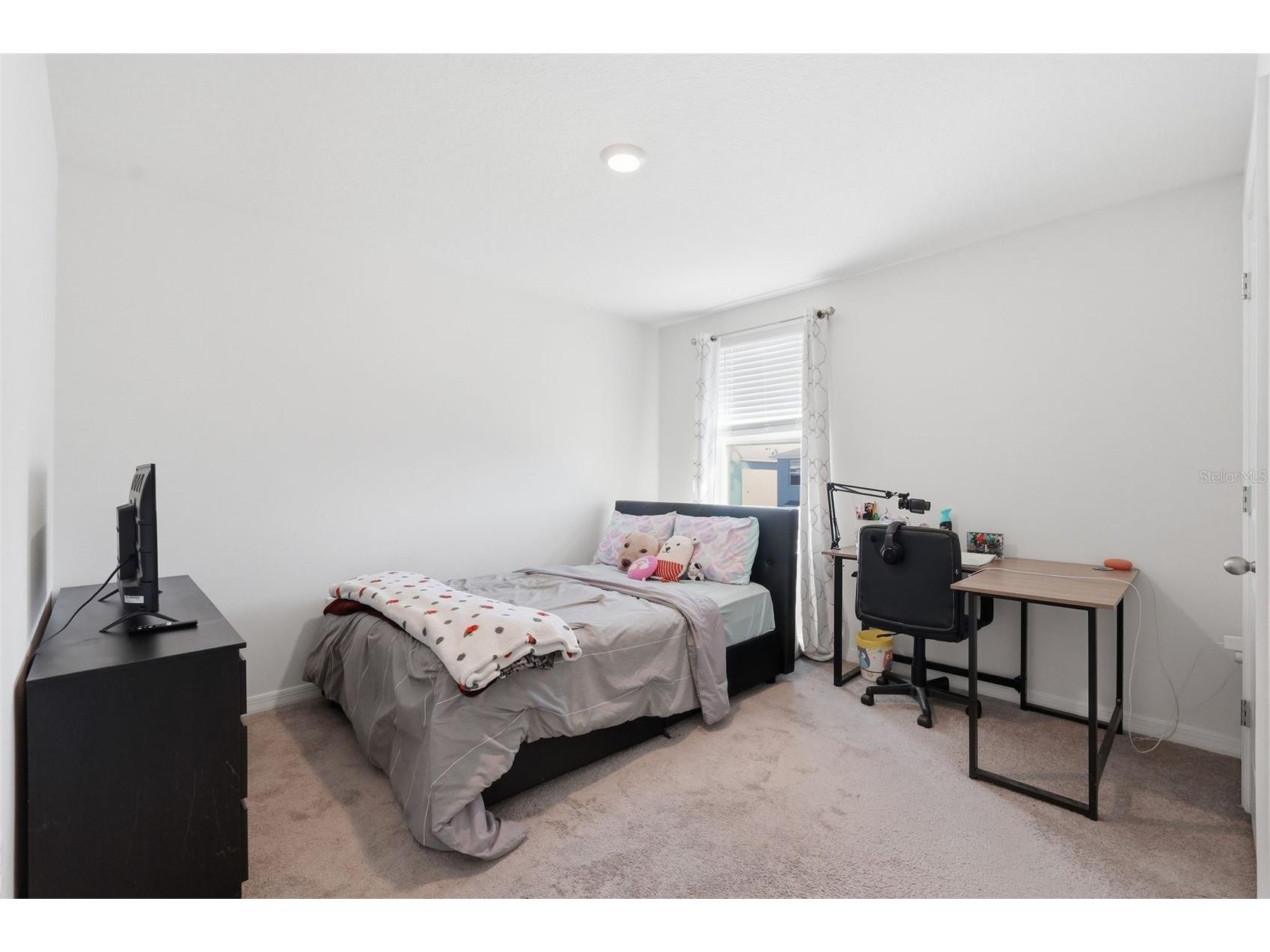 36882 Goffaux Loop Zephyrhills FL 33541 TB8494227 image40