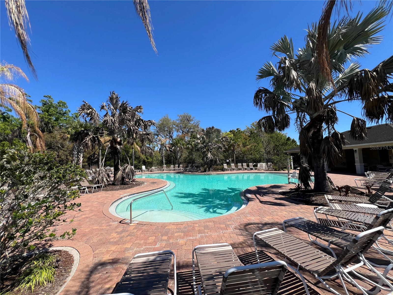 36882 Goffaux Loop Zephyrhills FL 33541 TB8494227 image49