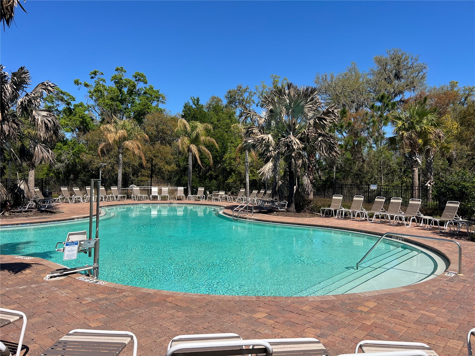 36882 Goffaux Loop Zephyrhills FL 33541 TB8494227 image50