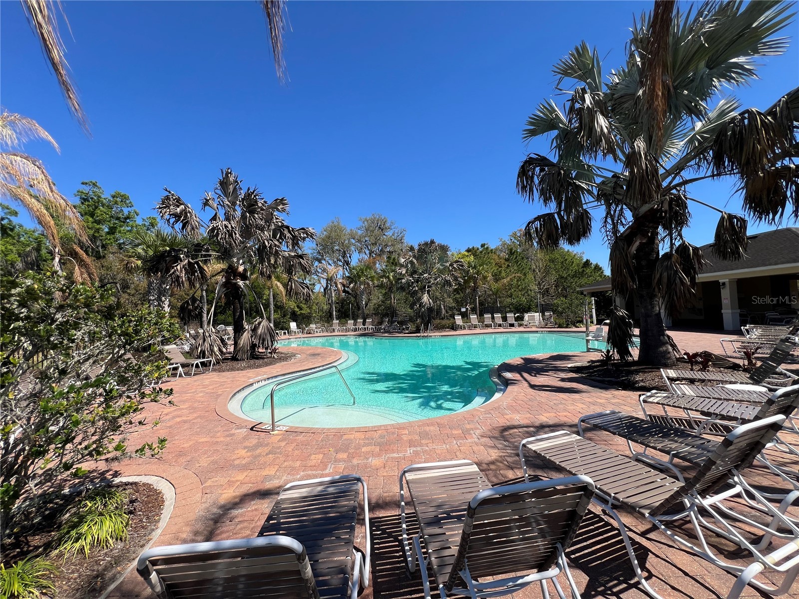 36882 Goffaux Loop Zephyrhills FL 33541 TB8494227 image51