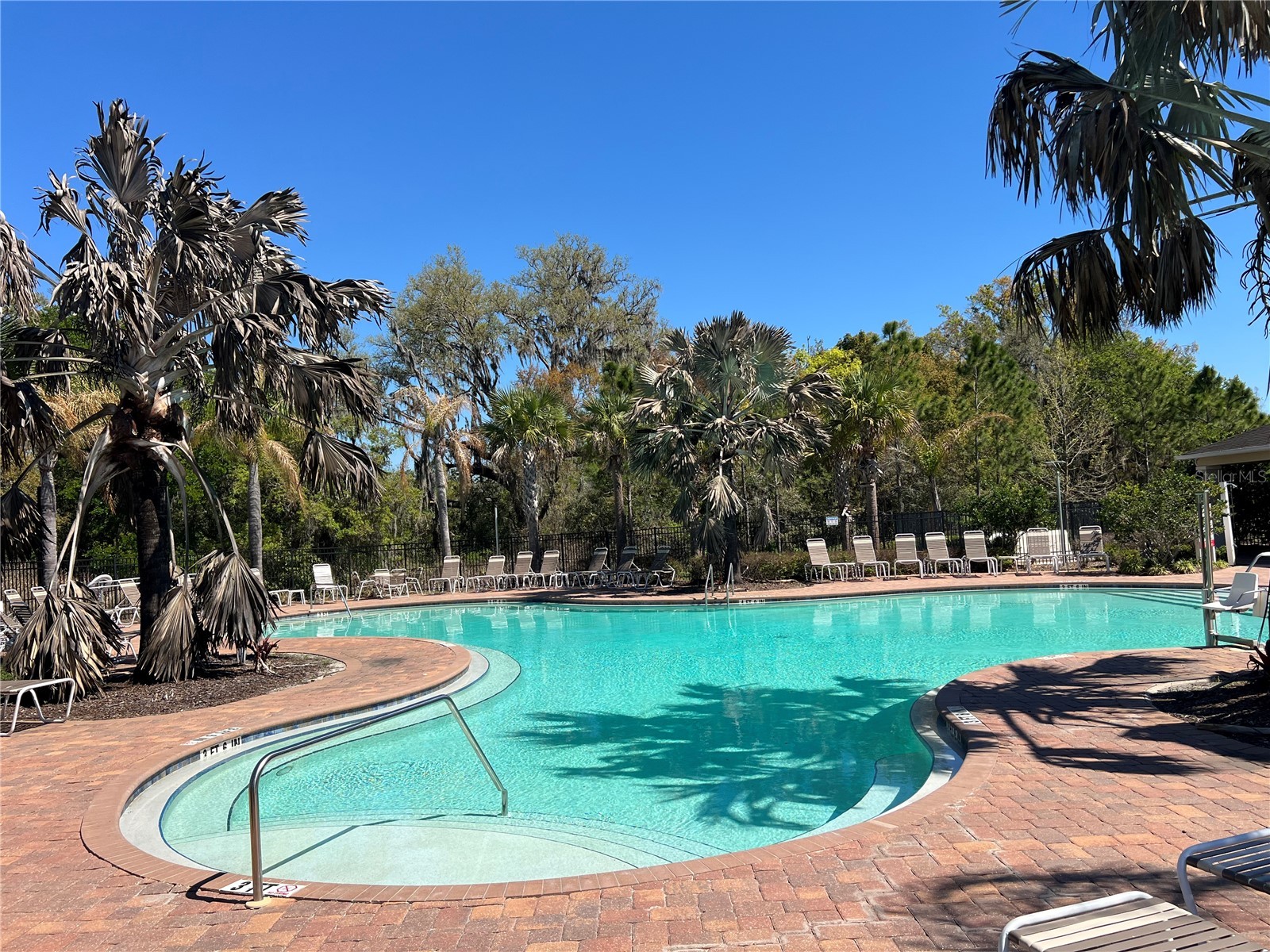 36882 Goffaux Loop Zephyrhills FL 33541 TB8494227 image52
