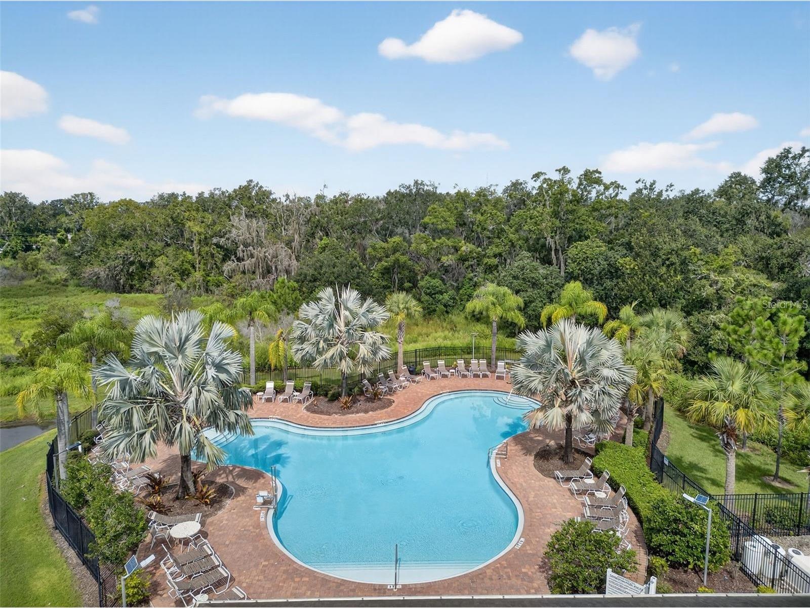 36882 Goffaux Loop Zephyrhills FL 33541 TB8494227 image54