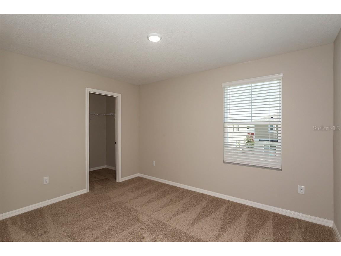 36882 Sagemoor Drive Zephyrhills FL 33541 TB8447926 image15