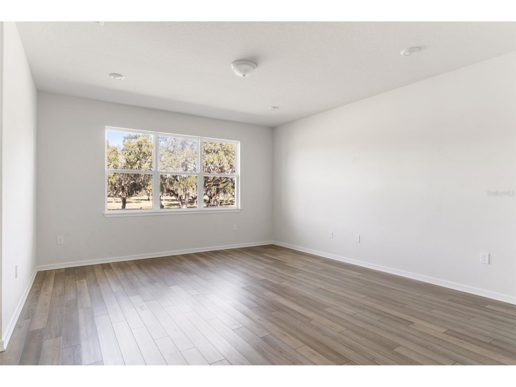 36887 Highland Meadows Court Zephyrhills FL 33542 S5143715 image13