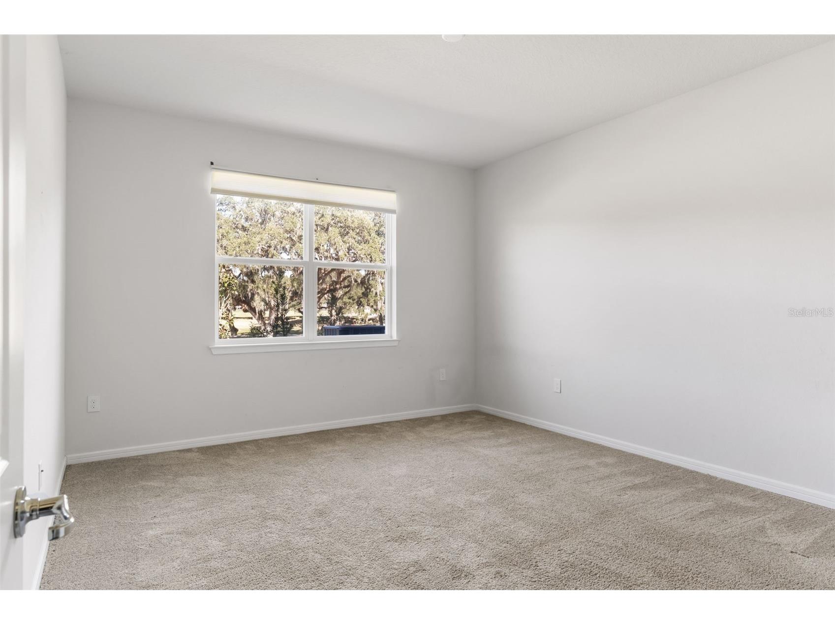 36887 Highland Meadows Court Zephyrhills FL 33542 S5143715 image16