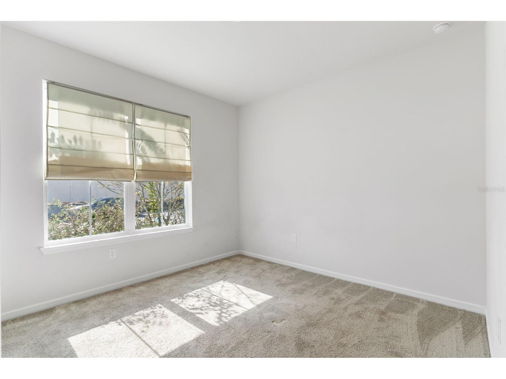 36887 Highland Meadows Court Zephyrhills FL 33542 S5143715 image22