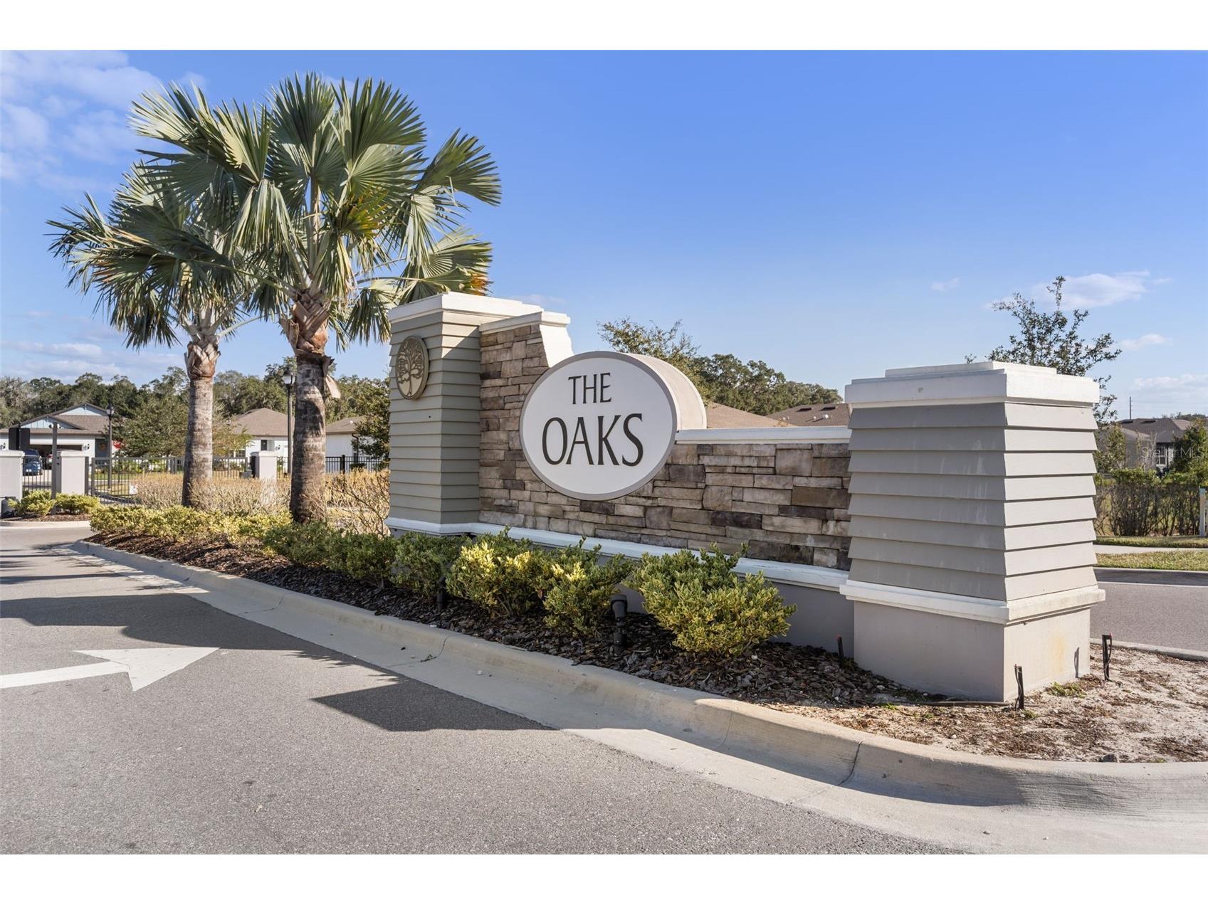 36887 Highland Meadows Court Zephyrhills FL 33542 S5143715 image41