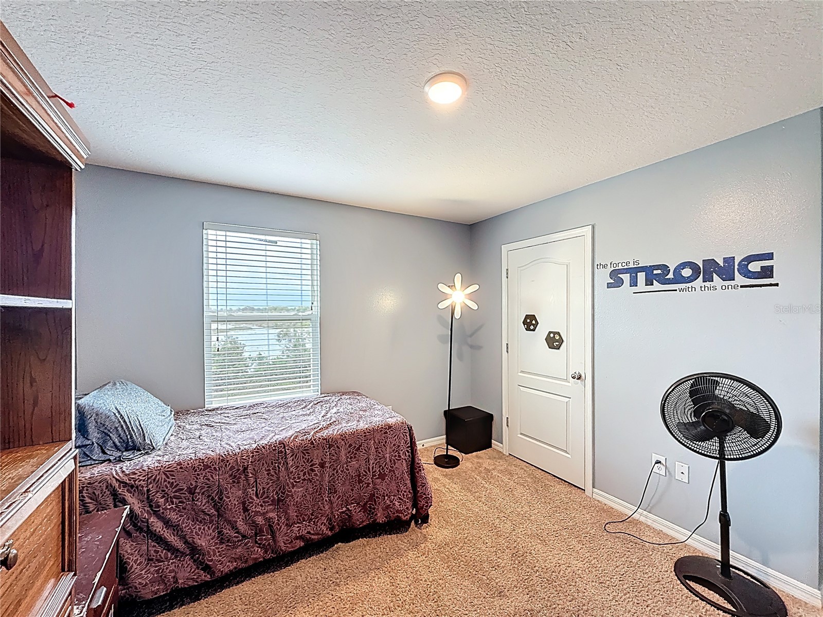 3689 Maidencain Street Clermont FL 34714 O6391272 image21