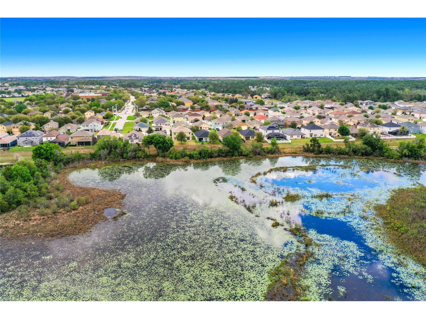 3689 Maidencain Street Clermont FL 34714 O6391272 image32