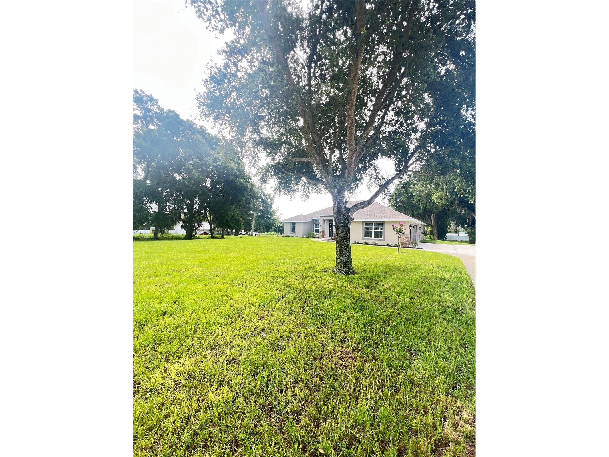 36893 Hidden View Circle Dade City FL 33523 TB8524758 image1