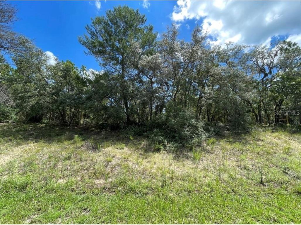 369 S Highview Avenue Lecanto FL 34461 OM670006 image1