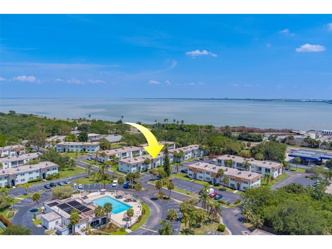 369 S Mcmullen Booth Road #84 Clearwater FL 33759 U8202686 image1