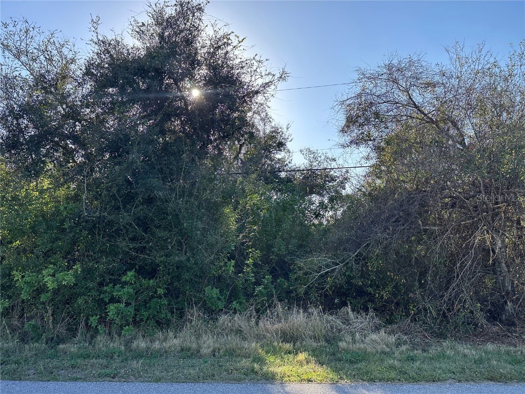 369 San Cristobal Avenue Punta Gorda FL 33983 TB8351823 image2