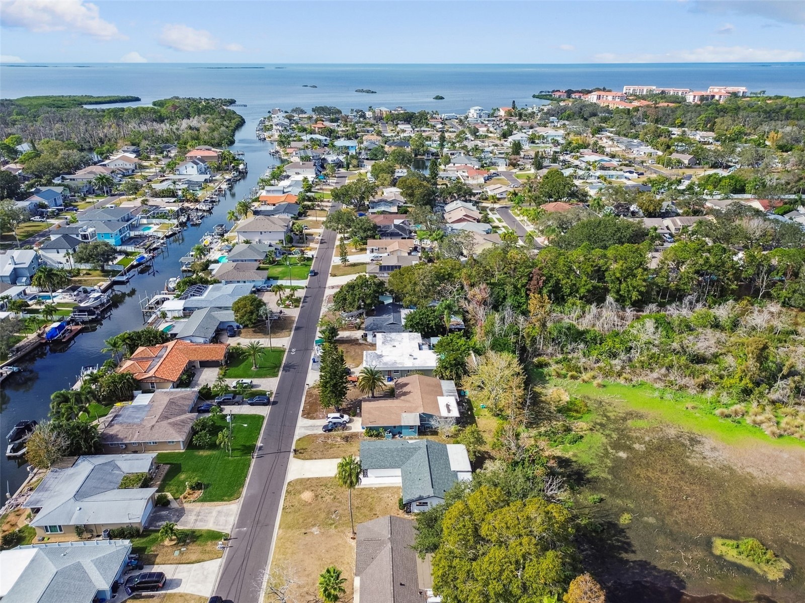 369 Westwinds Drive Palm Harbor FL 34683 TB8451852 image2