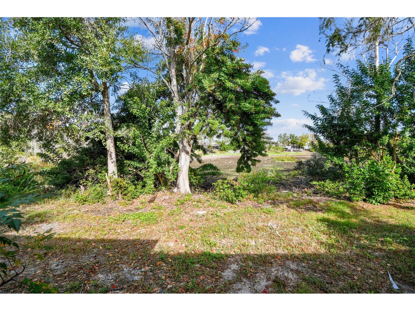 369 Westwinds Drive Palm Harbor FL 34683 TB8451852 image35