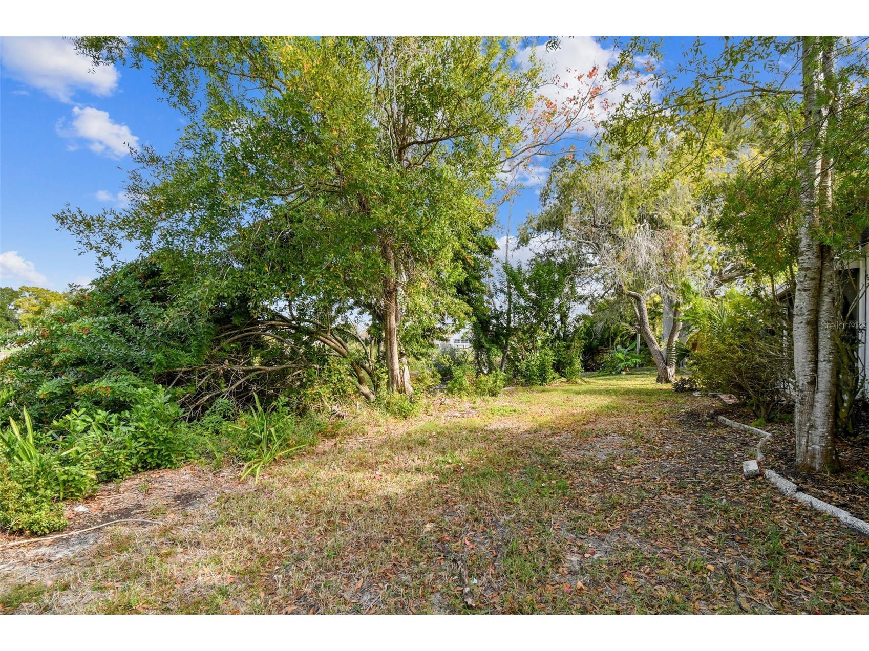 369 Westwinds Drive Palm Harbor FL 34683 TB8451852 image37