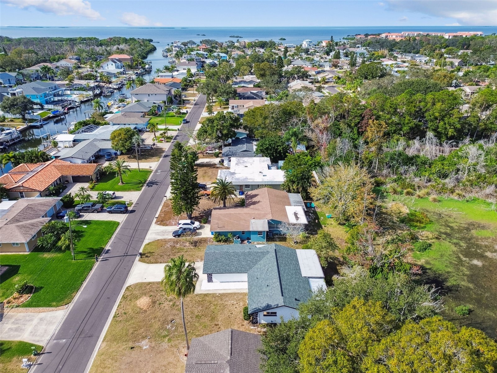 369 Westwinds Drive Palm Harbor FL 34683 TB8451852 image40