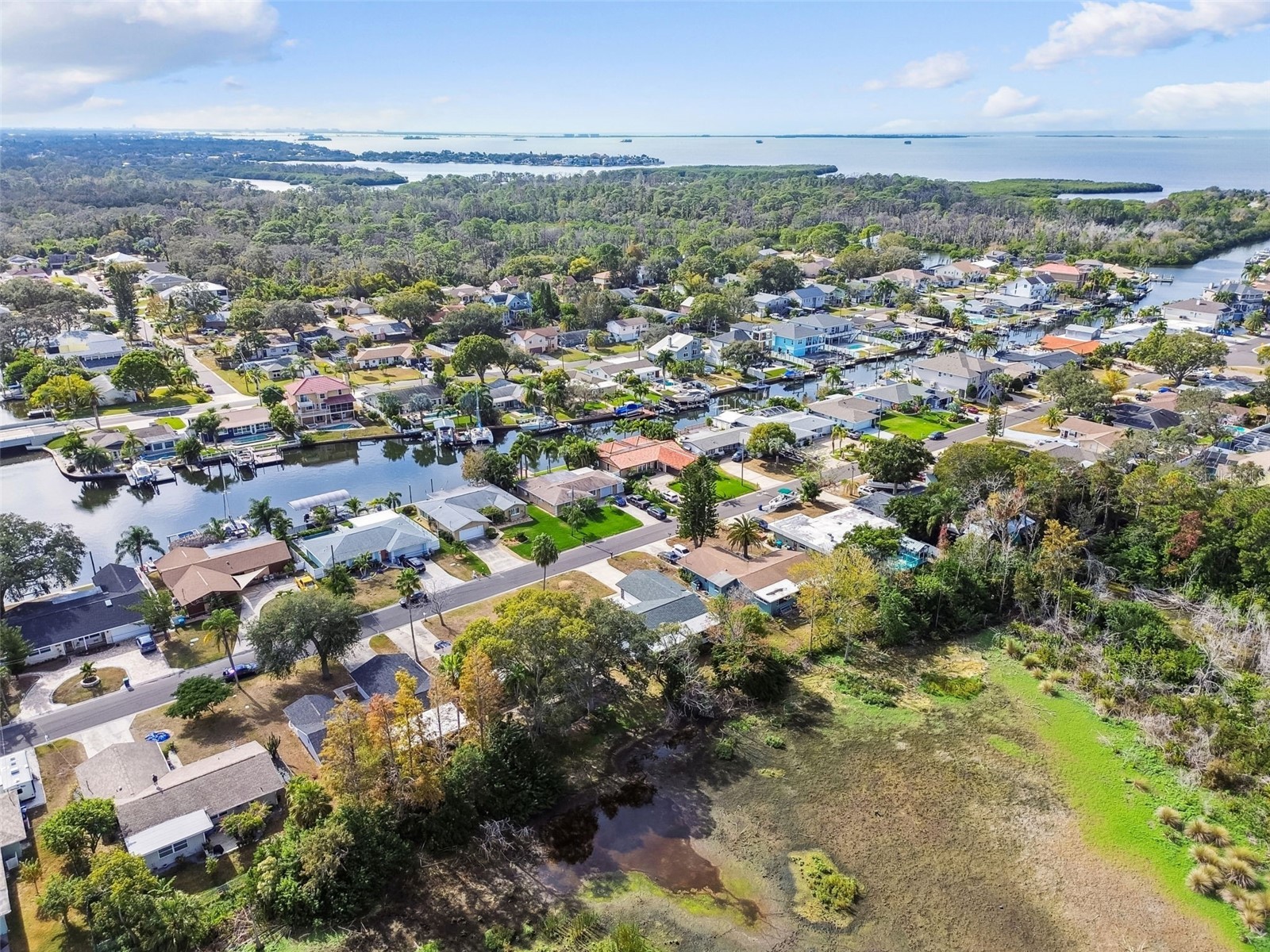 369 Westwinds Drive Palm Harbor FL 34683 TB8451852 image43