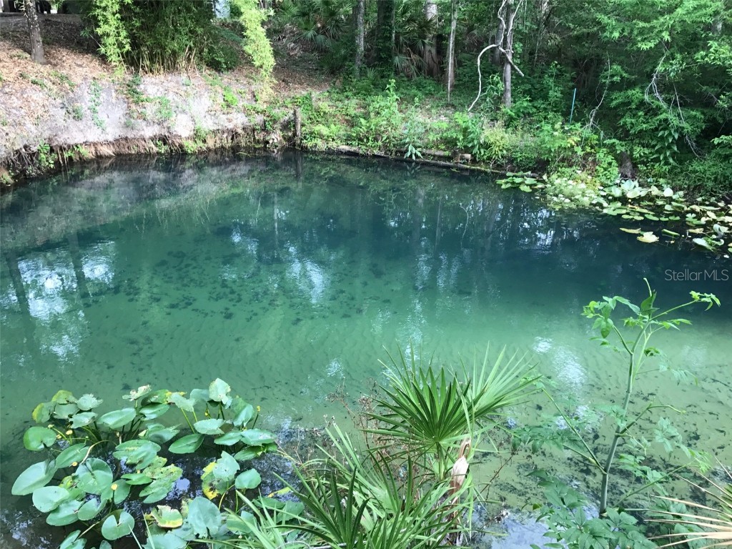 3690 SE 54th Avenue Morriston FL 32668 - WEKIVA OM659614 image1