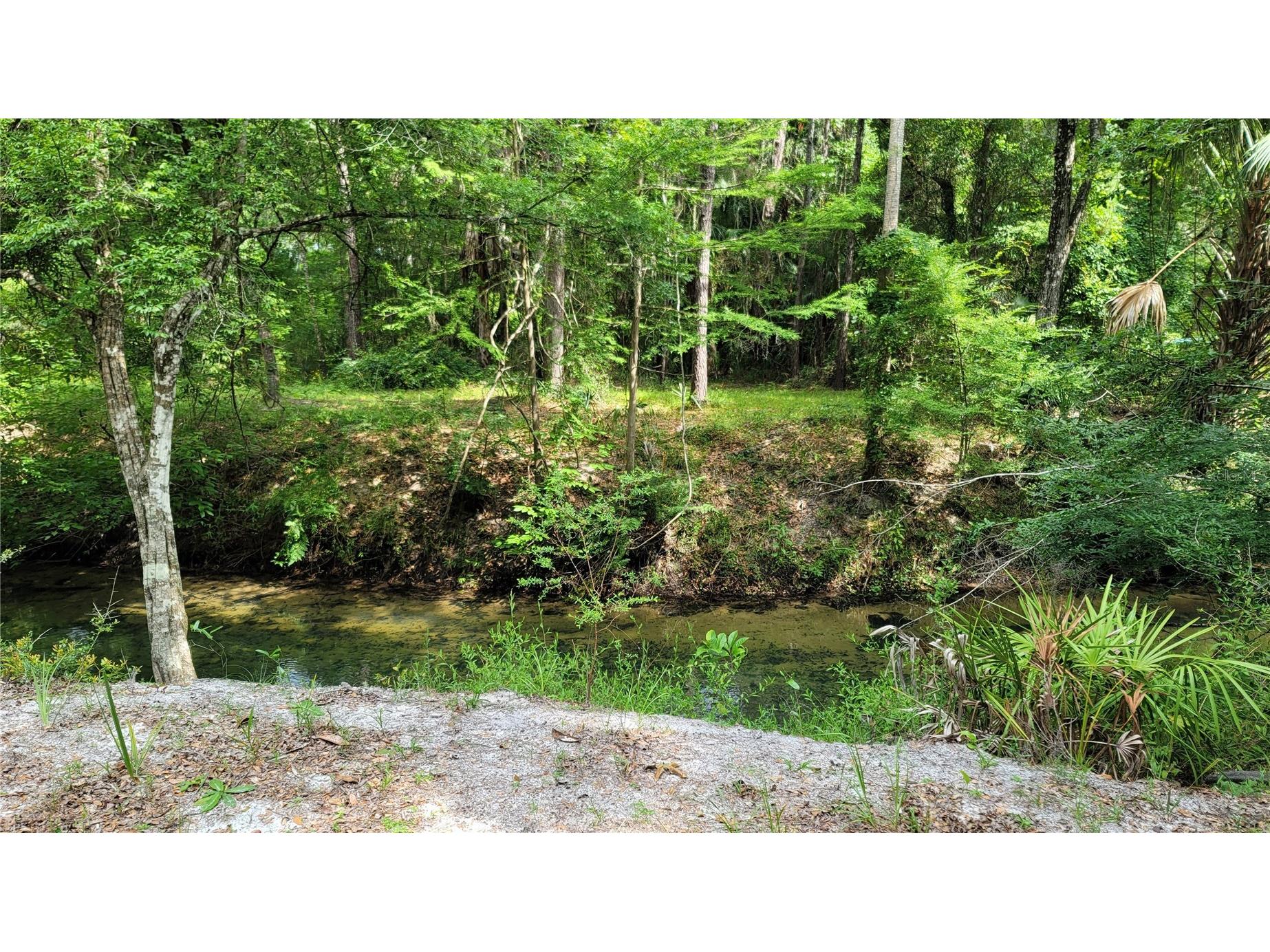 3690 SE 54th Avenue Morriston FL 32668 - WEKIVA OM710299 image1