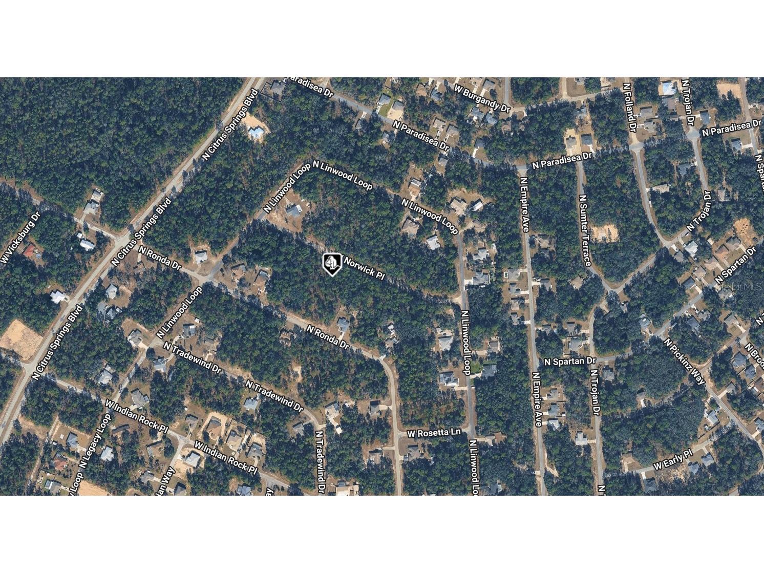 3690 W Norwick Place Dunnellon FL 34433 A4698755 image2