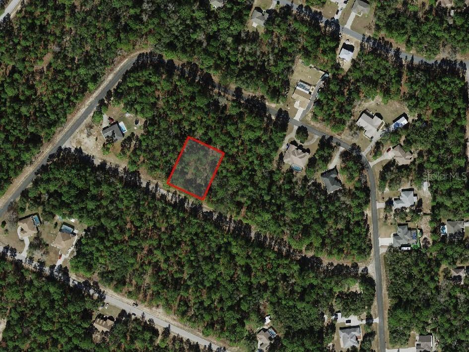 3691 W Norwick Place Citrus Springs FL 34433 A4635370 image1