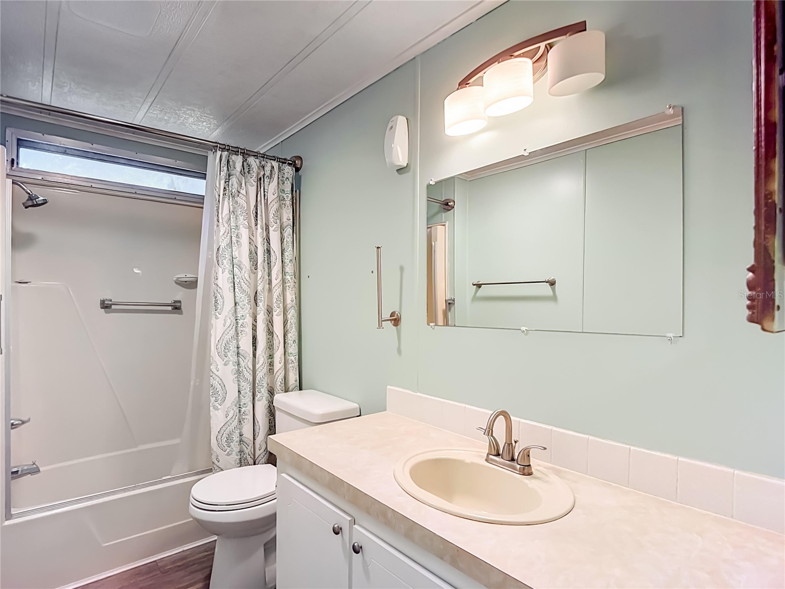 36912 Conley Street Zephyrhills FL 33541 O6410170 image26