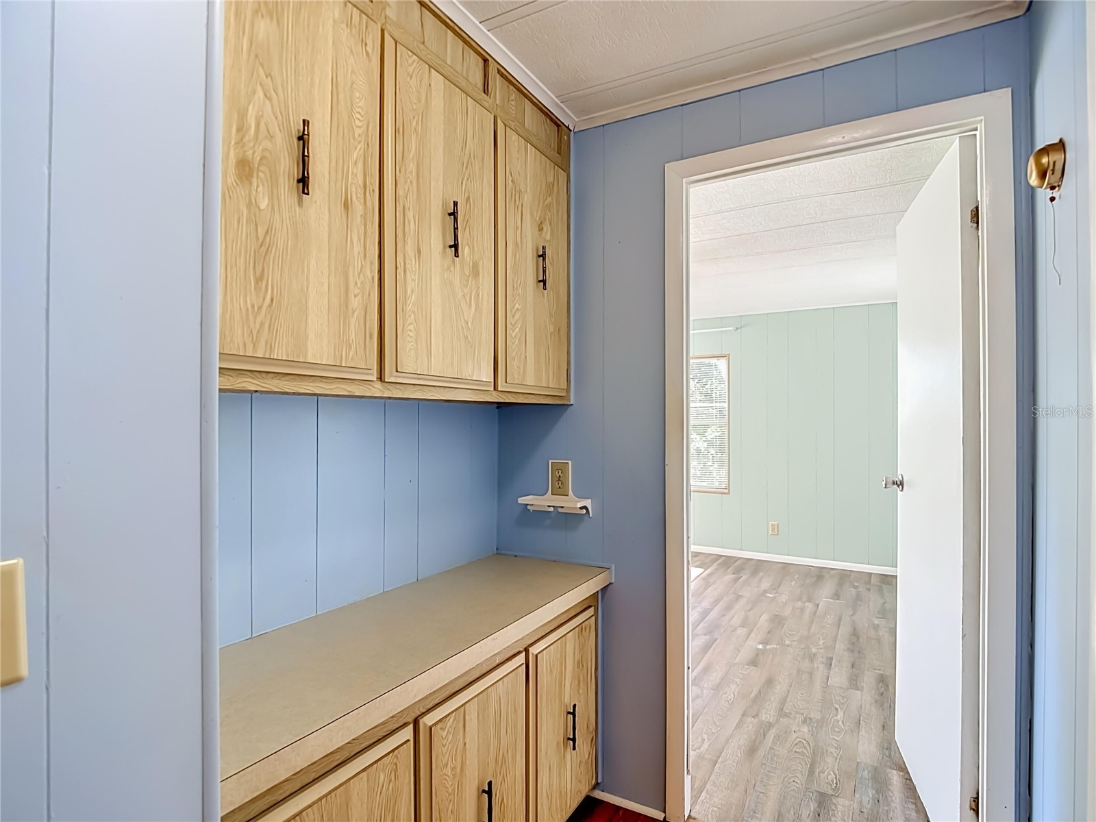 36912 Conley Street Zephyrhills FL 33541 O6410170 image33