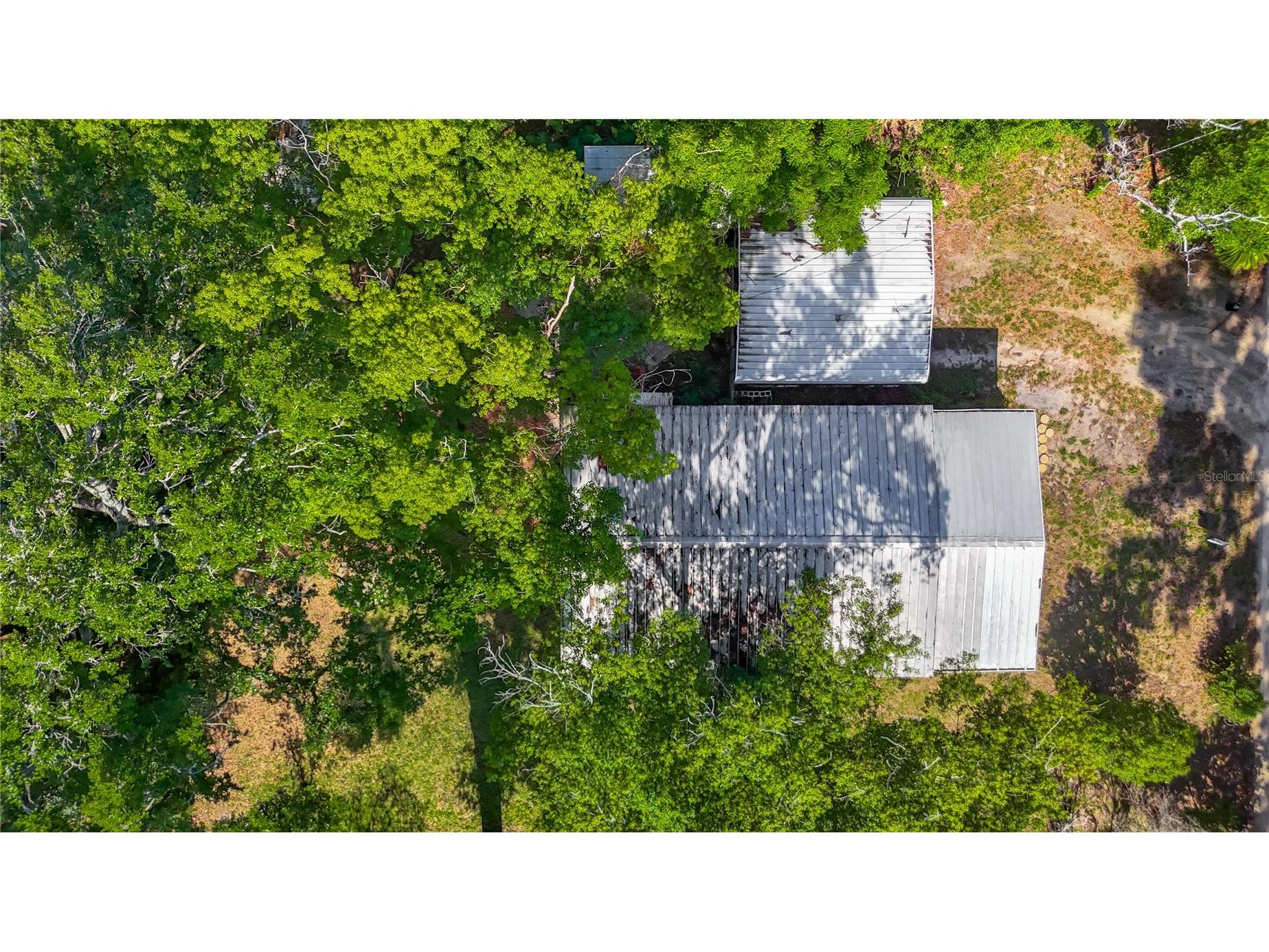 36912 Conley Street Zephyrhills FL 33541 O6410170 image44