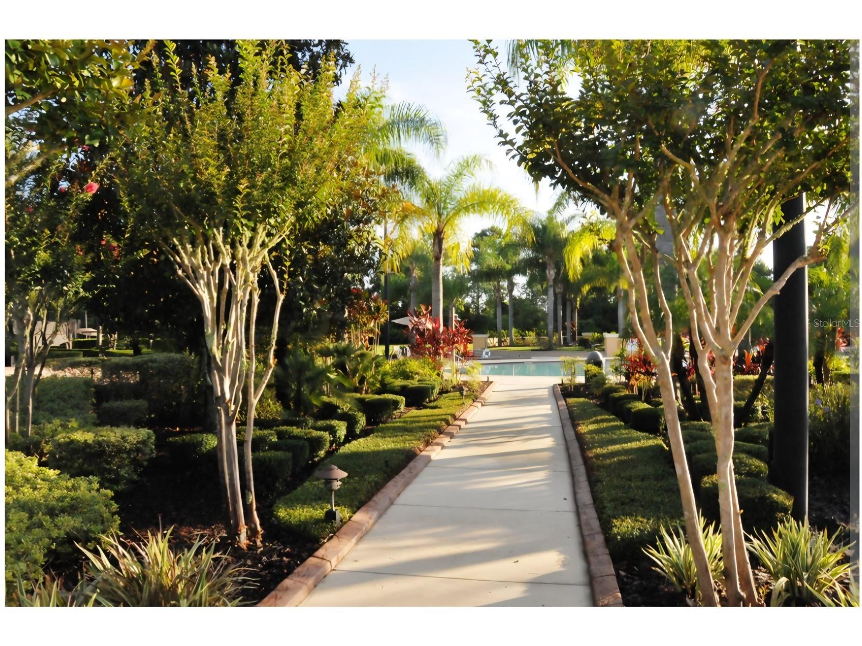 3692 Heirloom Rose Place Oviedo FL 32766 O6428092 image48