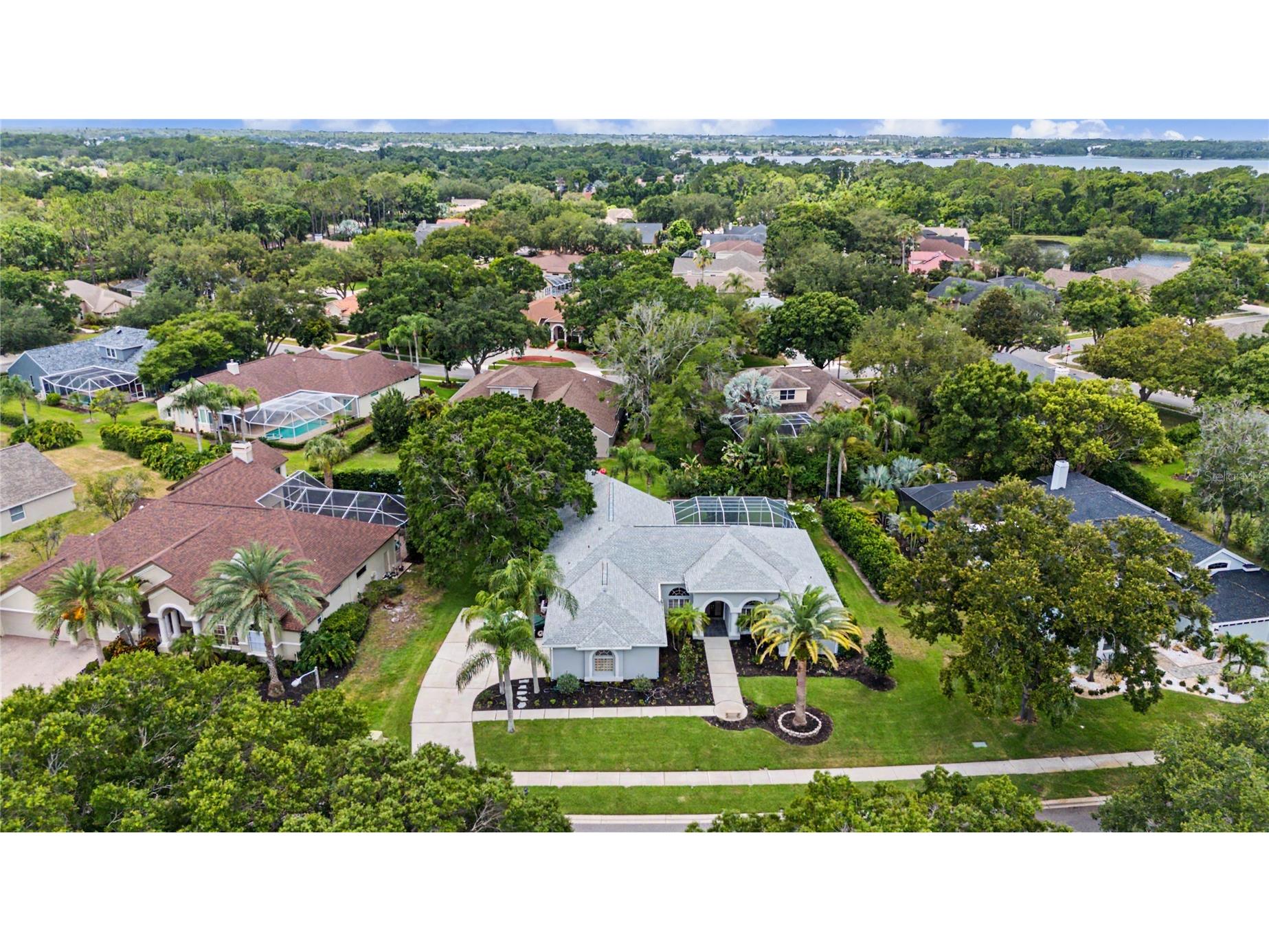 3692 Johnathon Avenue Palm Harbor FL 34685 TB8520892 image3