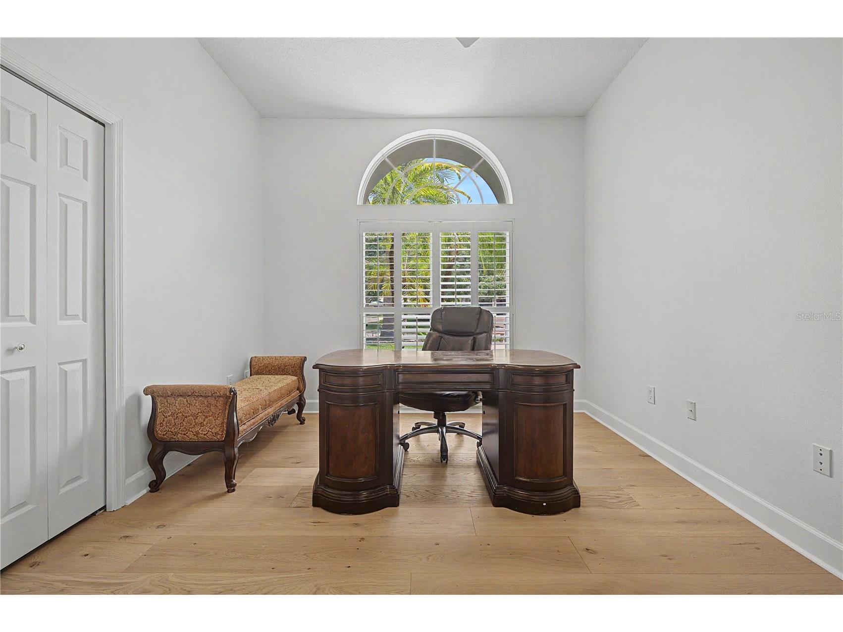 3692 Johnathon Avenue Palm Harbor FL 34685 TB8520892 image39