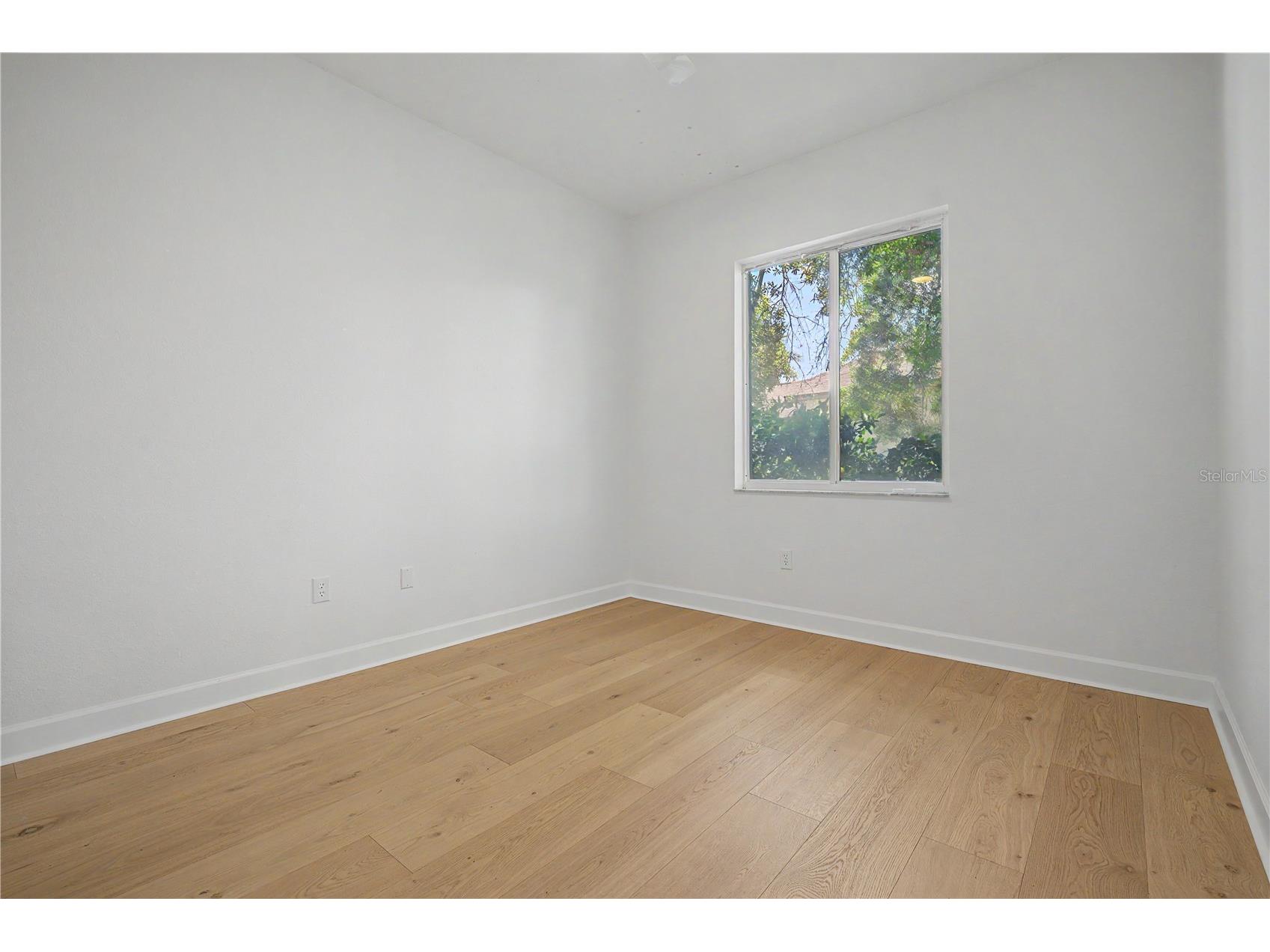 3692 Johnathon Avenue Palm Harbor FL 34685 TB8520892 image43
