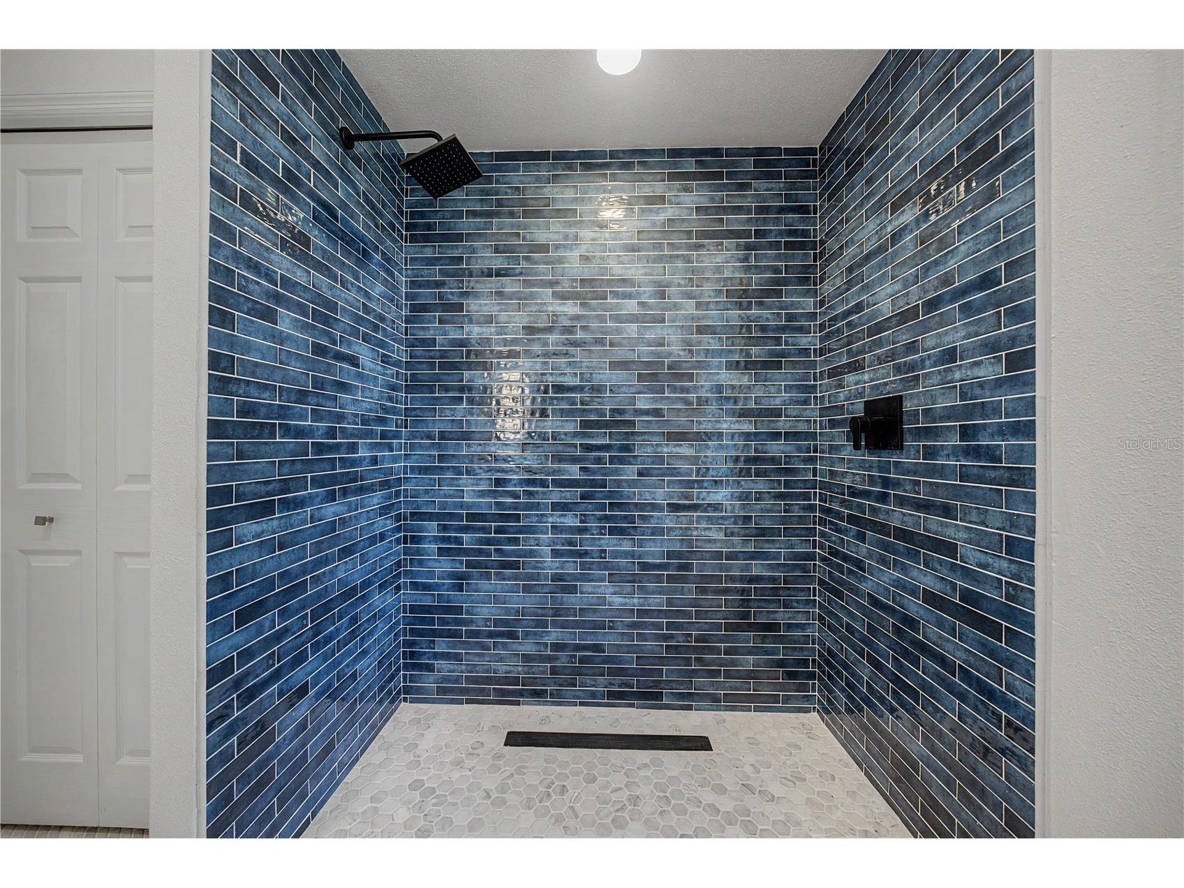 3692 Johnathon Avenue Palm Harbor FL 34685 TB8520892 image47