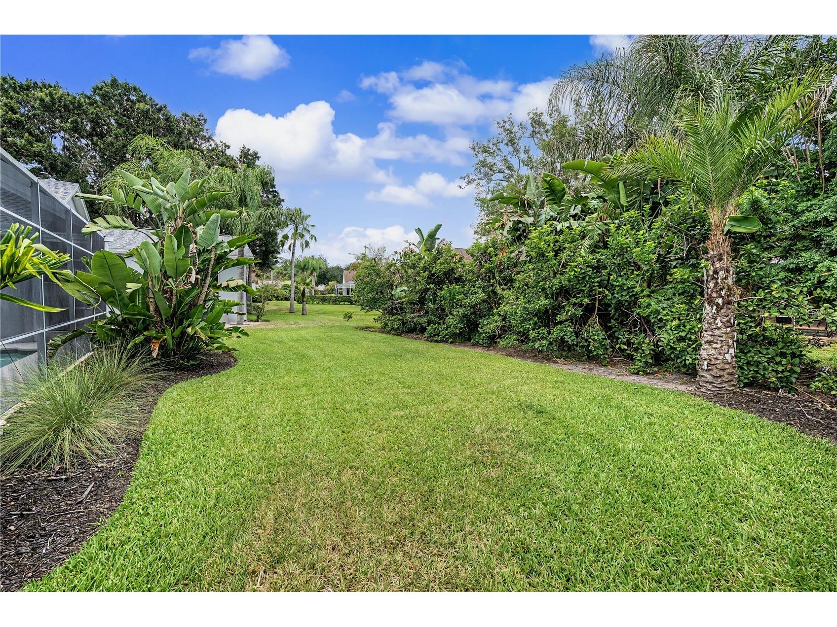 3692 Johnathon Avenue Palm Harbor FL 34685 TB8520892 image60