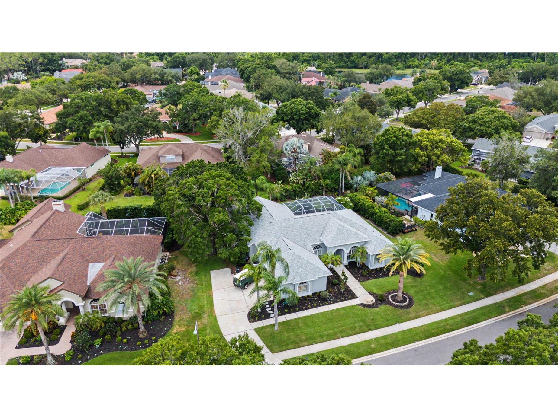 3692 Johnathon Avenue Palm Harbor FL 34685 TB8520892 image68