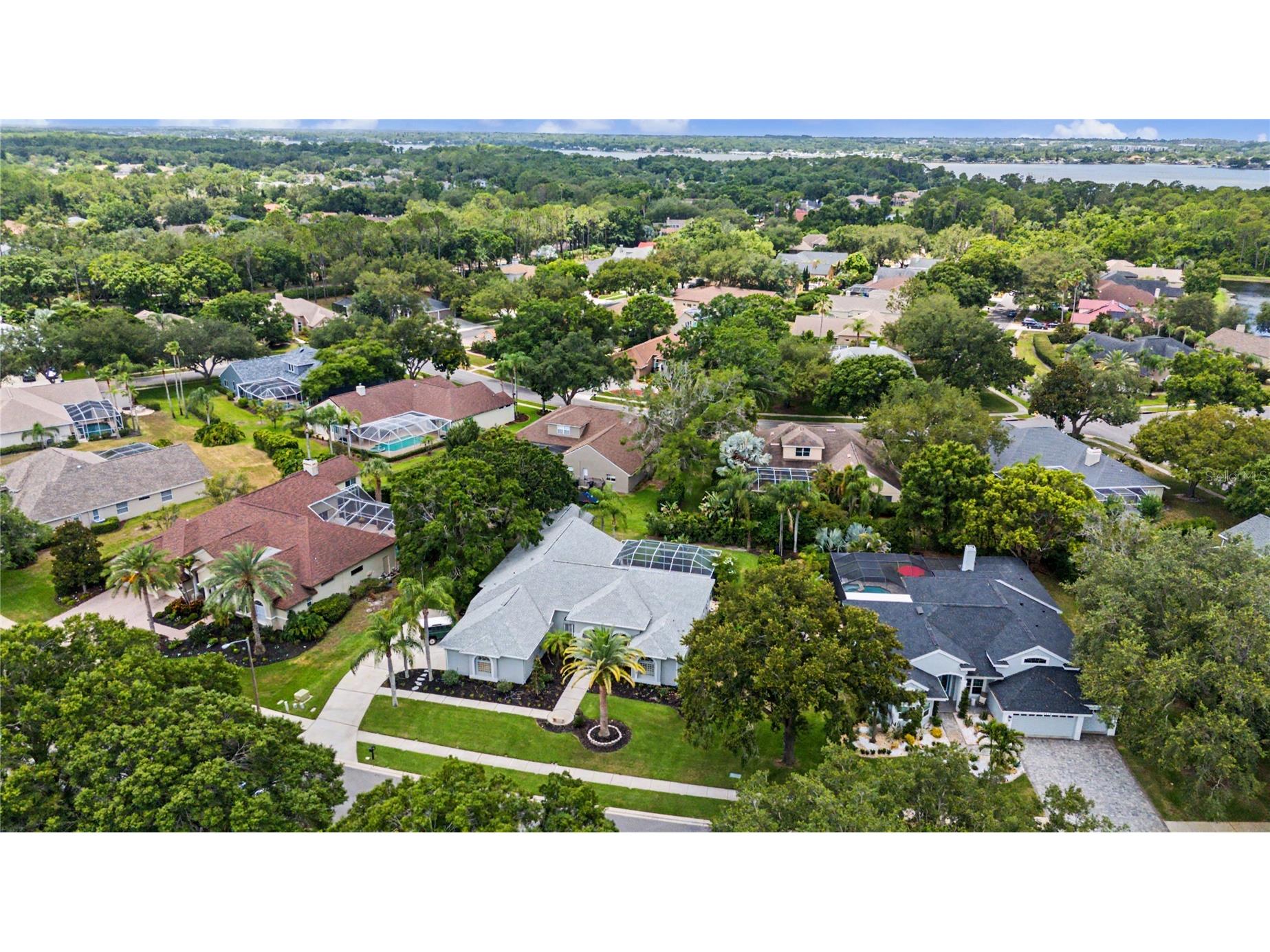 3692 Johnathon Avenue Palm Harbor FL 34685 TB8520892 image69