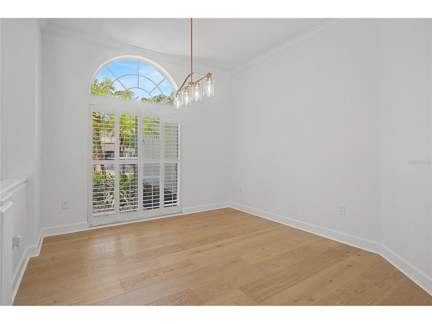 3692 Johnathon Avenue Palm Harbor FL 34685 TB8520892 image7