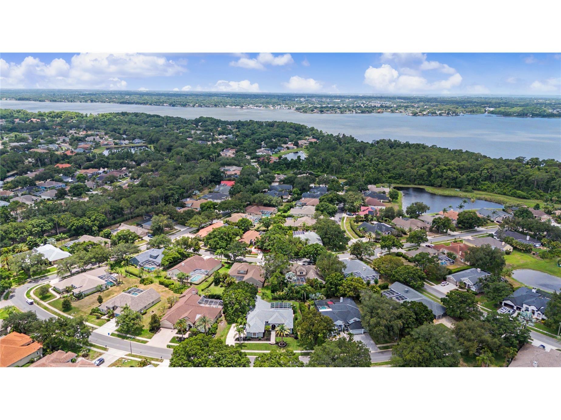 3692 Johnathon Avenue Palm Harbor FL 34685 TB8520892 image70