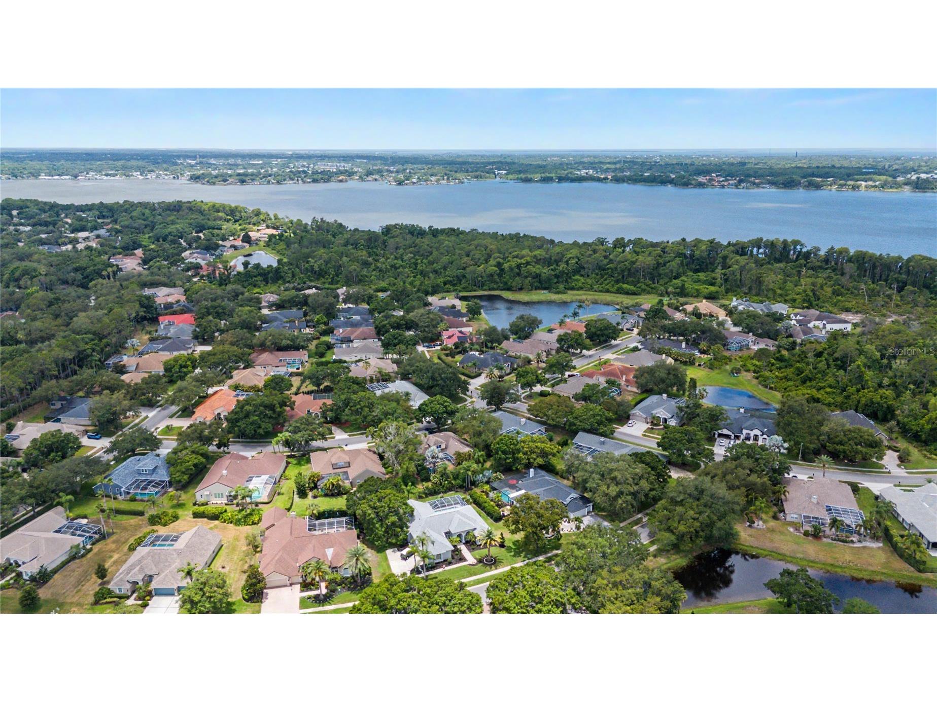 3692 Johnathon Avenue Palm Harbor FL 34685 TB8520892 image71