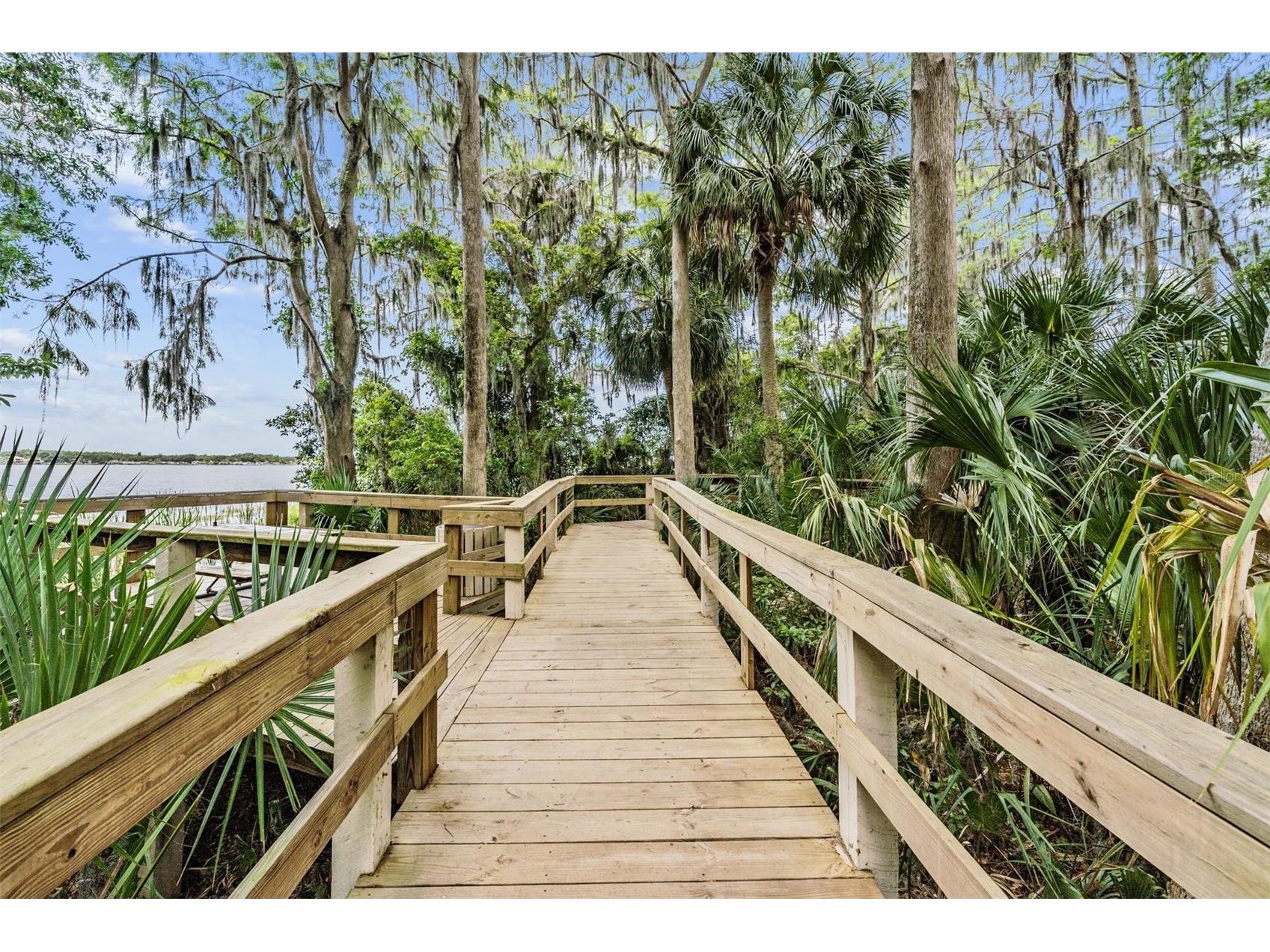 3692 Johnathon Avenue Palm Harbor FL 34685 TB8520892 image78