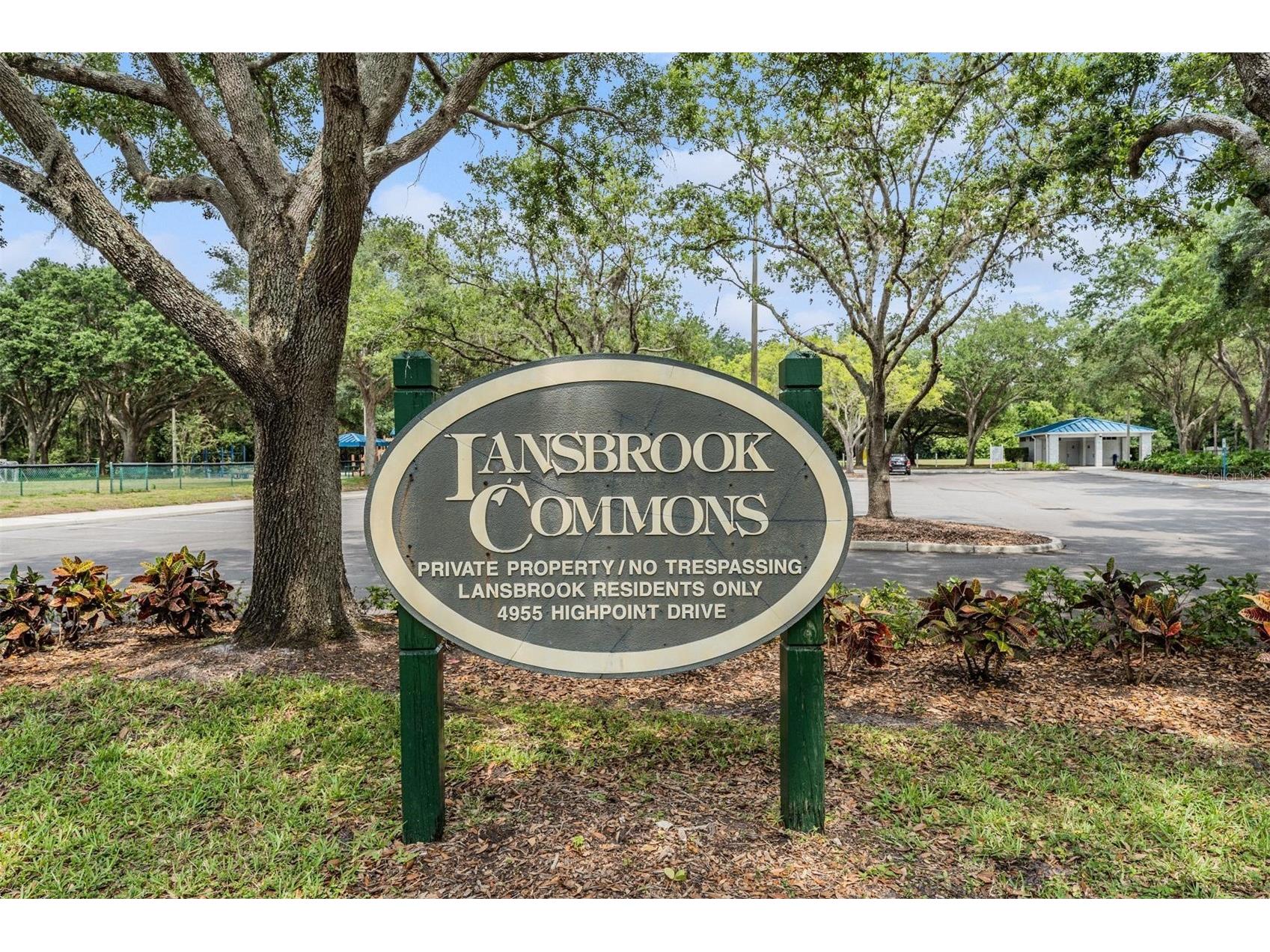 3692 Johnathon Avenue Palm Harbor FL 34685 TB8520892 image81