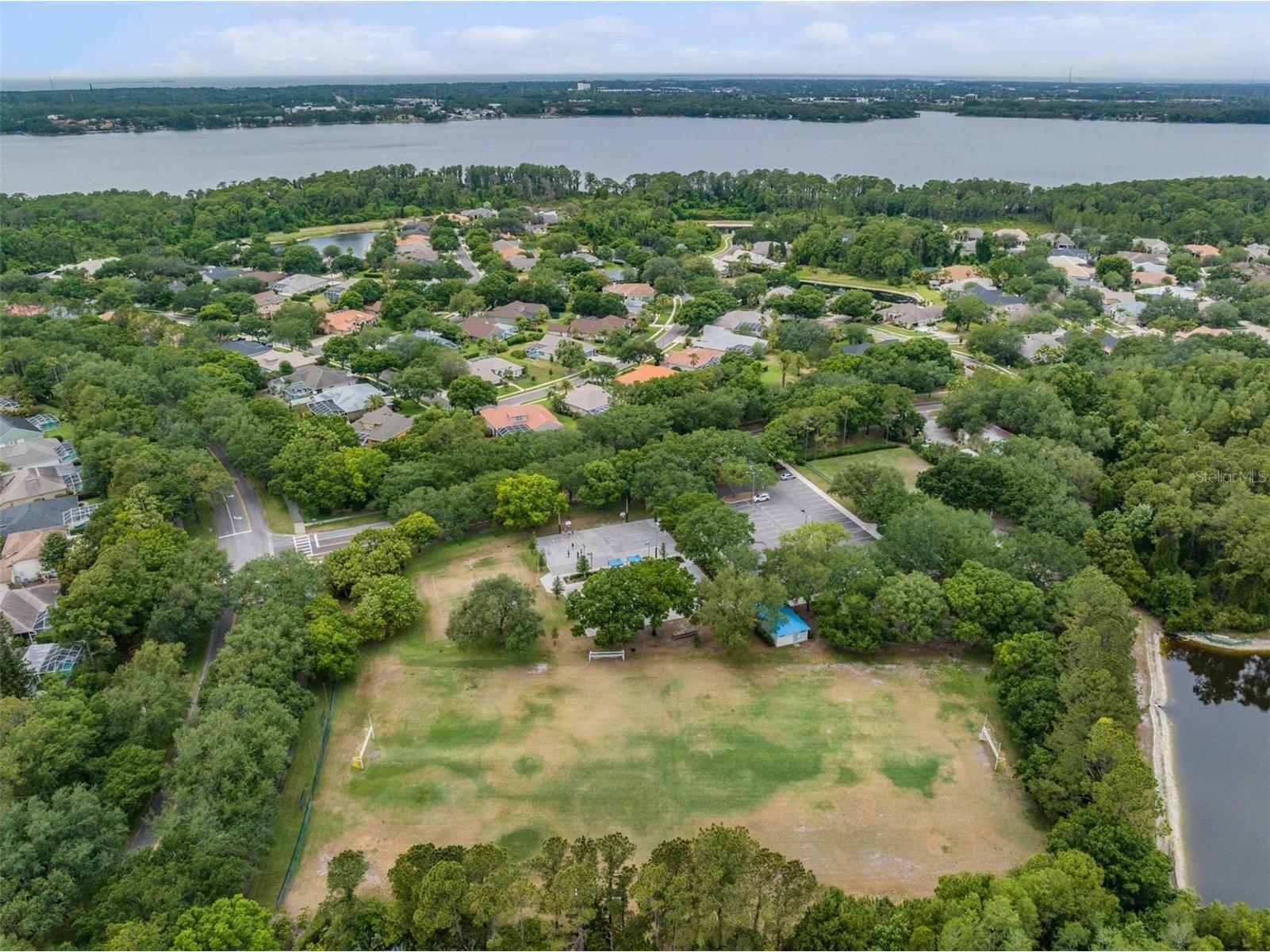 3692 Johnathon Avenue Palm Harbor FL 34685 TB8520892 image82