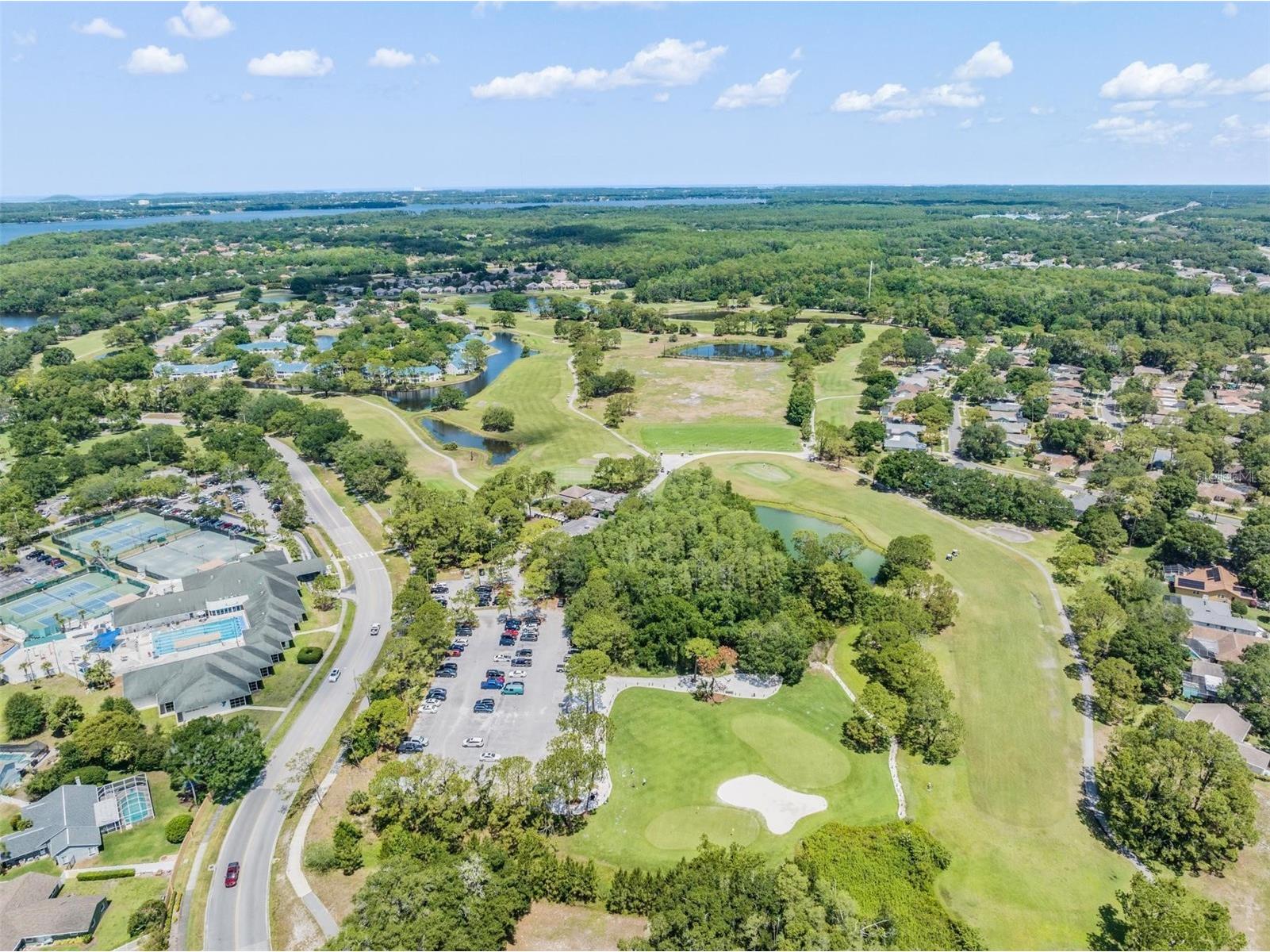 3692 Johnathon Avenue Palm Harbor FL 34685 TB8520892 image94