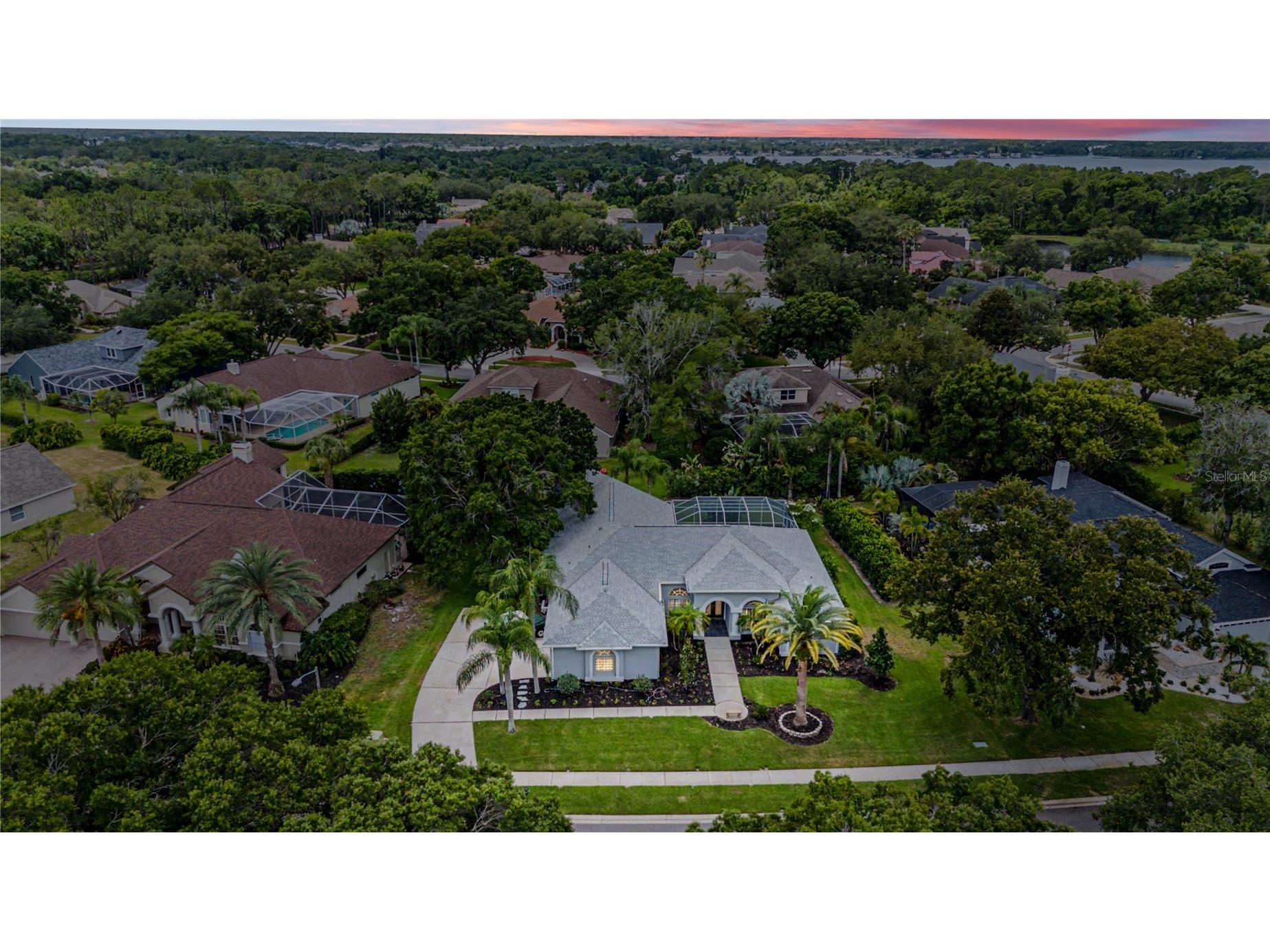 3692 Johnathon Avenue Palm Harbor FL 34685 TB8520892 image96